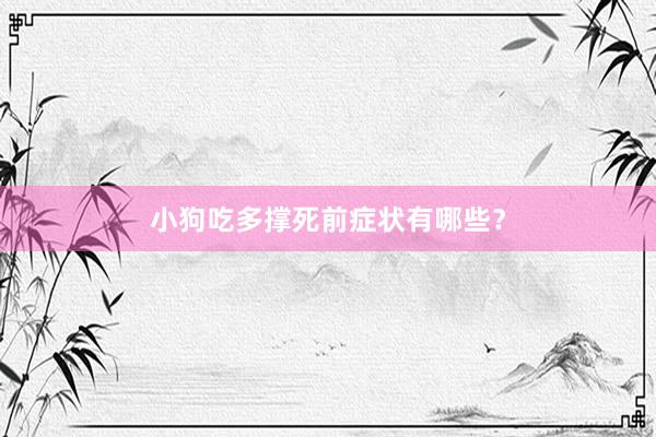 小狗吃多撑死前症状有哪些？