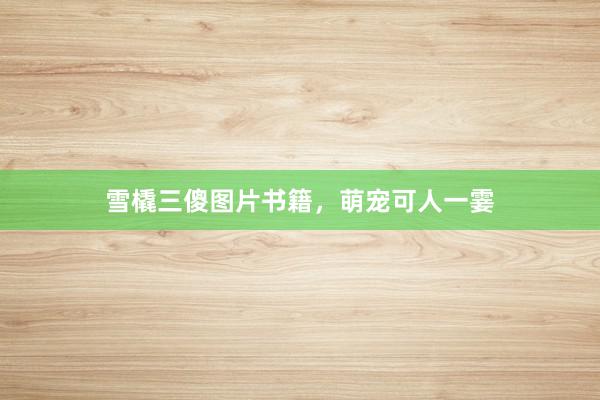 雪橇三傻图片书籍，萌宠可人一霎