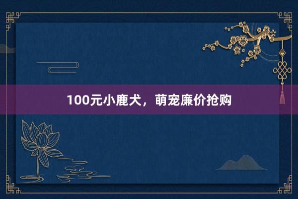 100元小鹿犬，萌宠廉价抢购